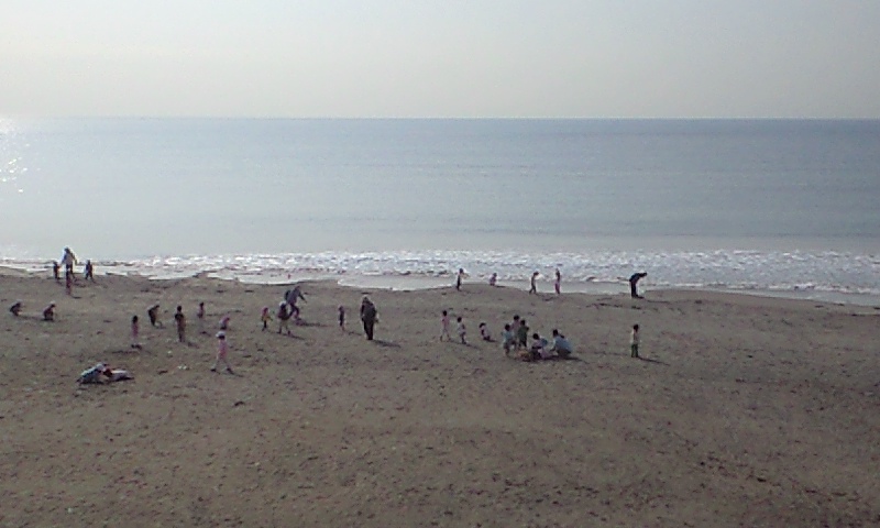 b0083902_16241926.jpg