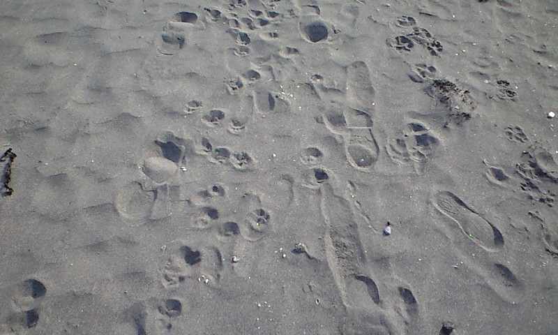 b0083902_1642447.jpg