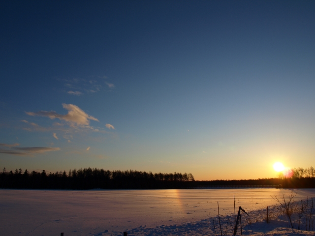 f0020302_2117476.jpg
