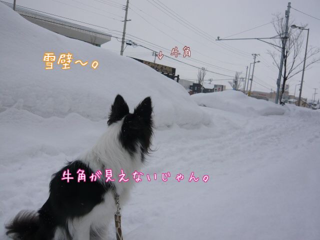 d0122403_15101261.jpg