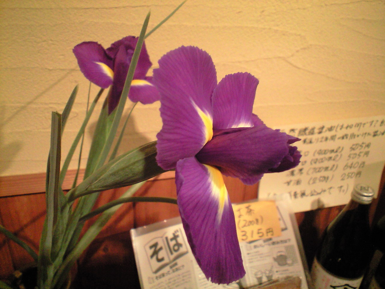 d0000607_17503446.jpg