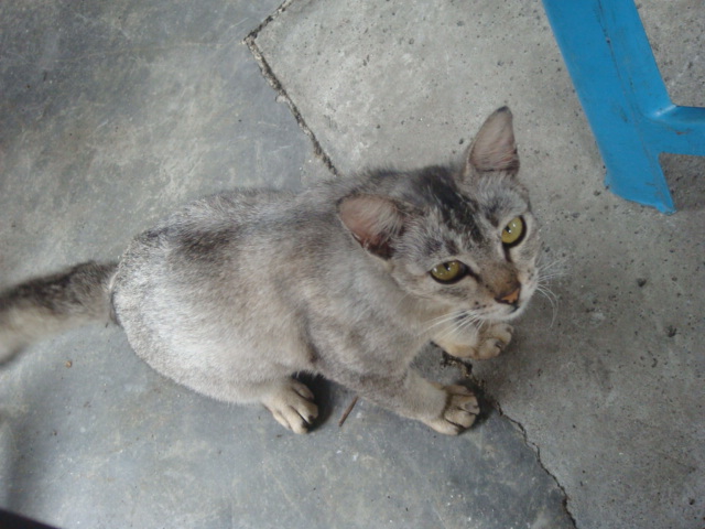 c0145615_177429.jpg