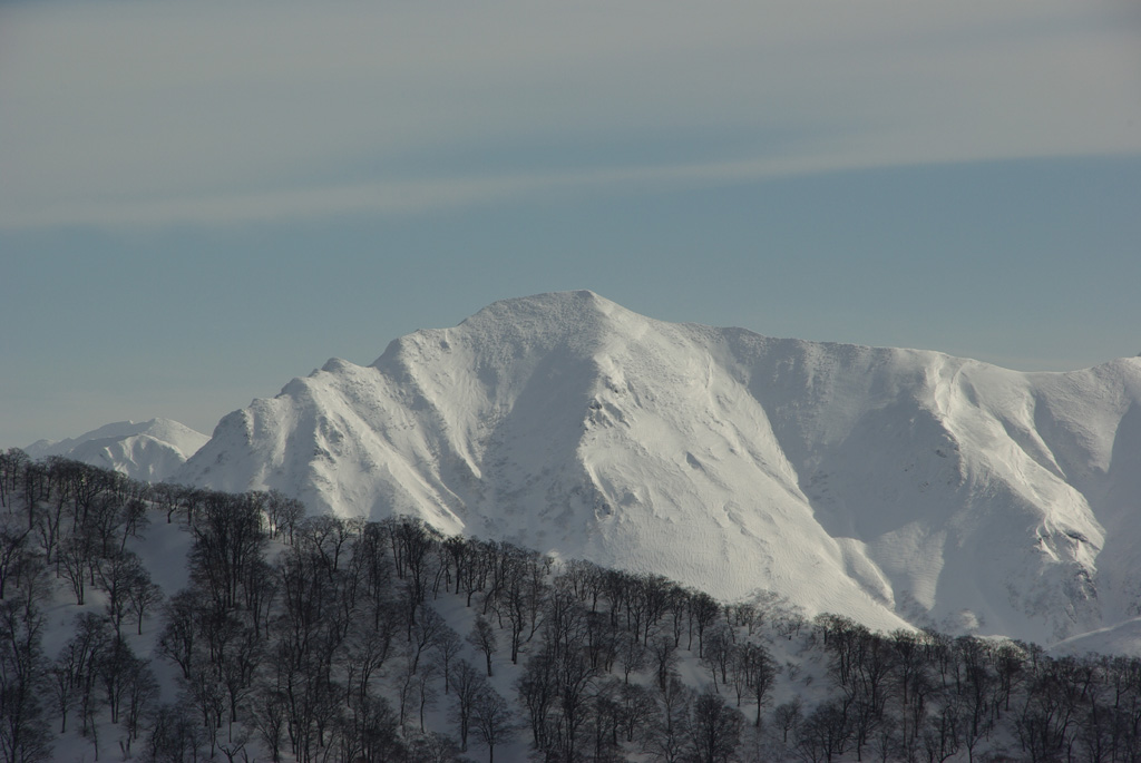 b0062024_21273146.jpg