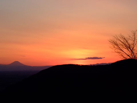 f0147025_1631394.jpg