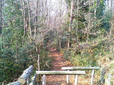 c0031126_14444916.jpg