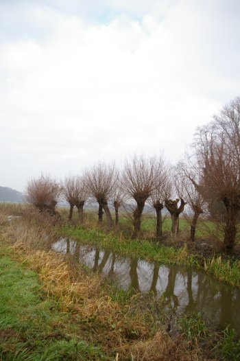 d0112128_341192.jpg