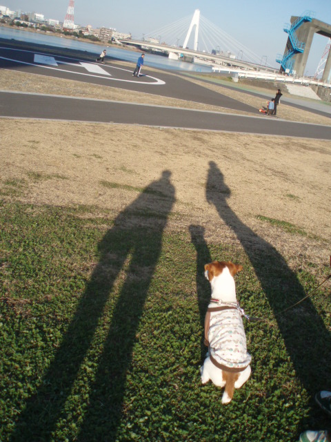c0035931_21385165.jpg