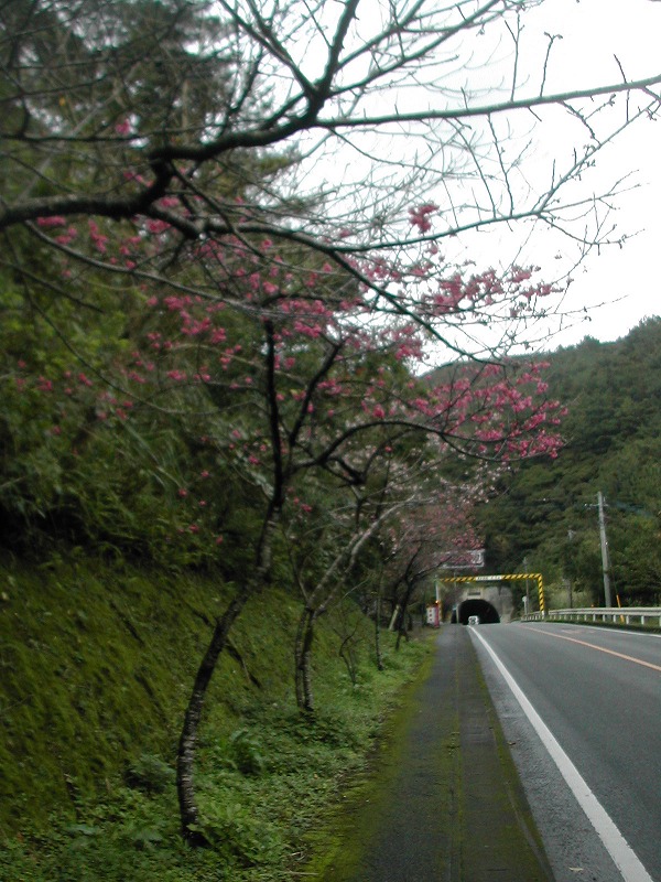 e0062635_1124861.jpg