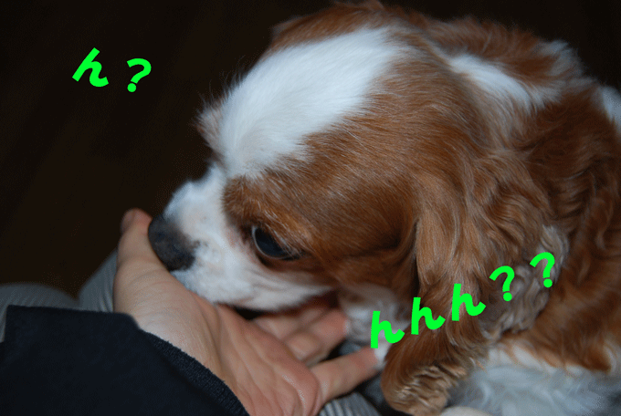 c0136838_2240141.gif