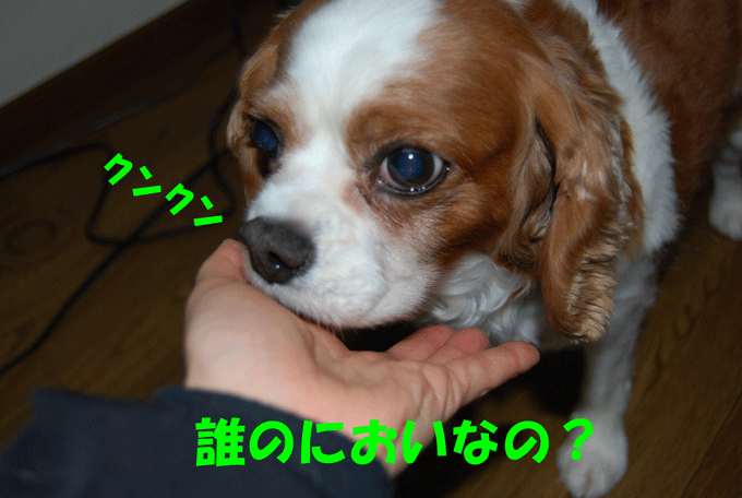 c0136838_22582650.gif