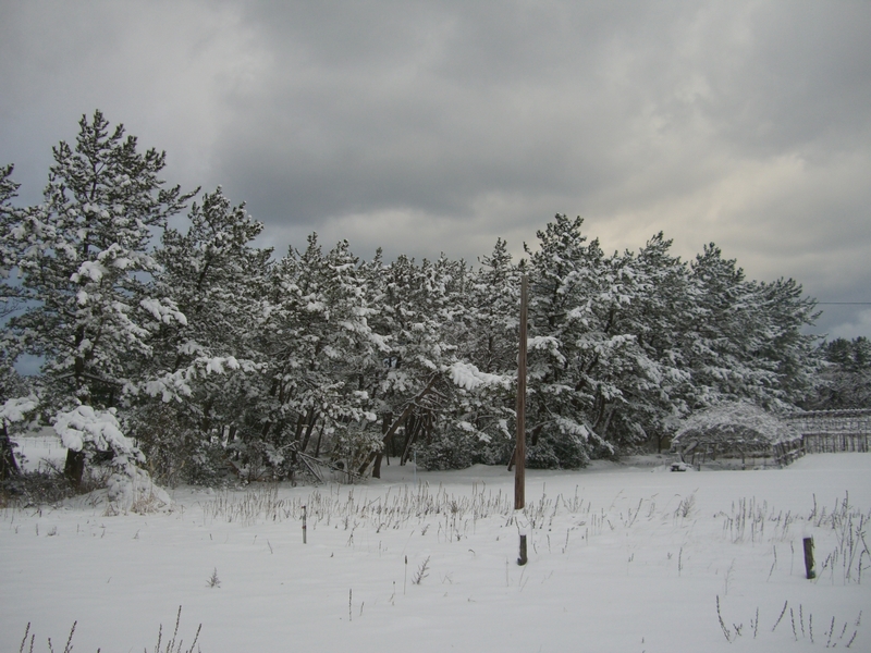 b0097145_23594954.jpg