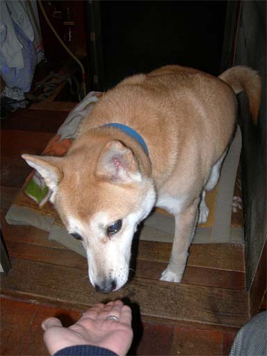 e0077145_23483090.jpg