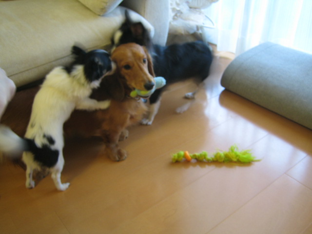 b0070950_0564866.jpg