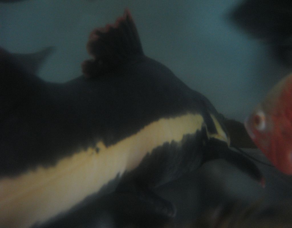 b0082551_21413.jpg