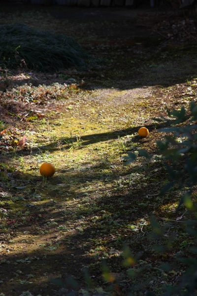 e0122855_2357553.jpg