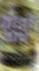 d0029958_1944588.jpg