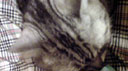 d0029958_1945122.jpg