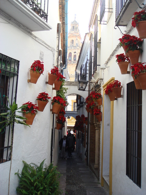 e0078564_18321651.jpg