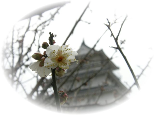 c0042869_13314125.jpg
