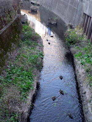 f0086169_23314174.jpg