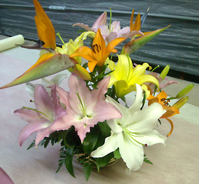 e0097770_2002159.jpg