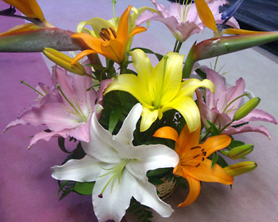 e0097770_200728.jpg