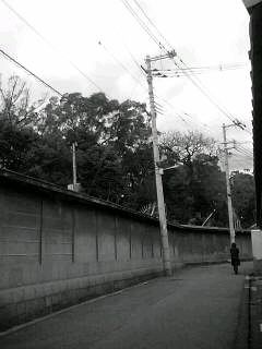 f0100480_19235596.jpg