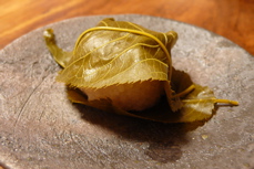 a0079292_2323554.jpg
