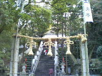f0008692_1751662.jpg
