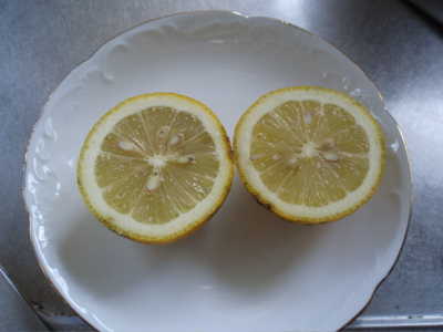f0130894_20535675.jpg