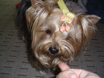 f0130894_2055328.jpg
