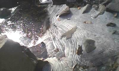 c0062796_13585759.jpg