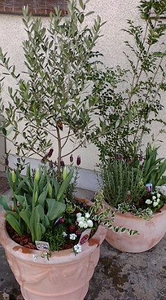 c0152002_18251711.jpg