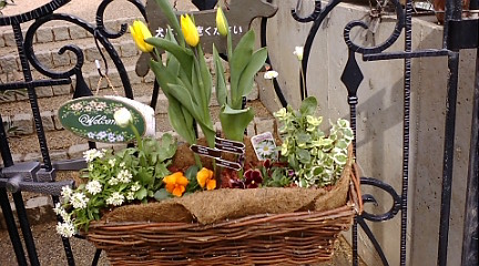c0152002_18261153.jpg