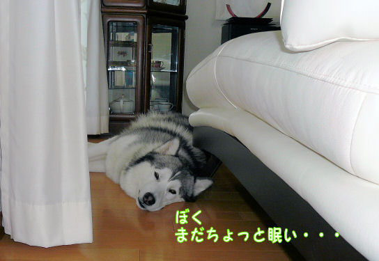 f0112407_0223461.jpg