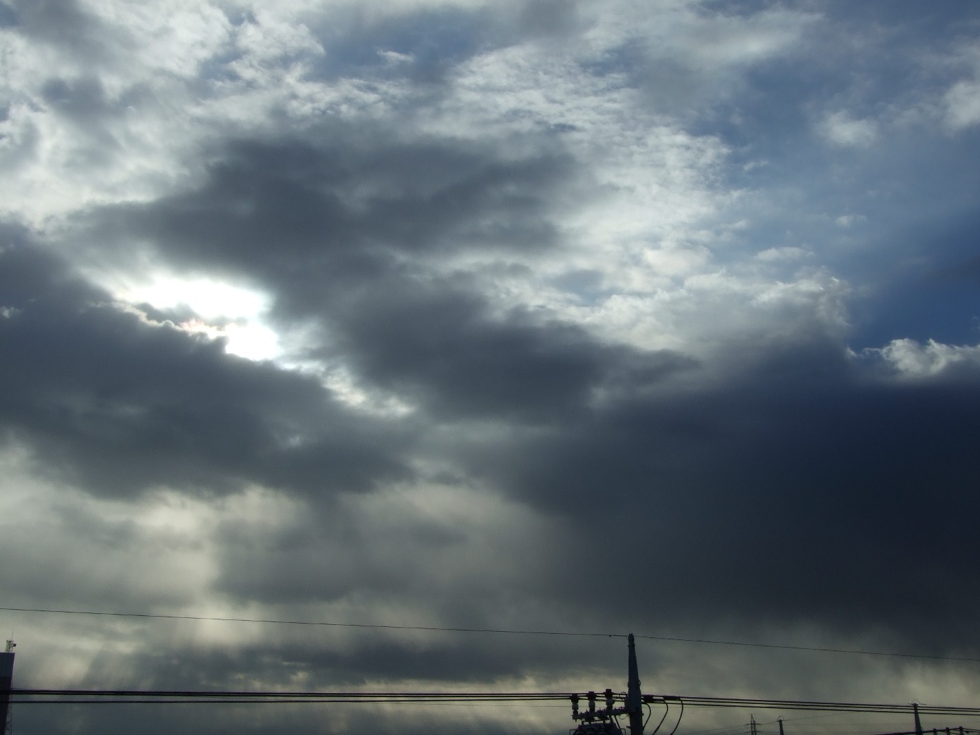 b0061010_9105046.jpg