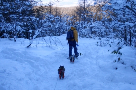 e0078510_2363510.jpg