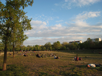 e0038811_915917.jpg