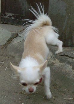 c0065512_1818357.jpg