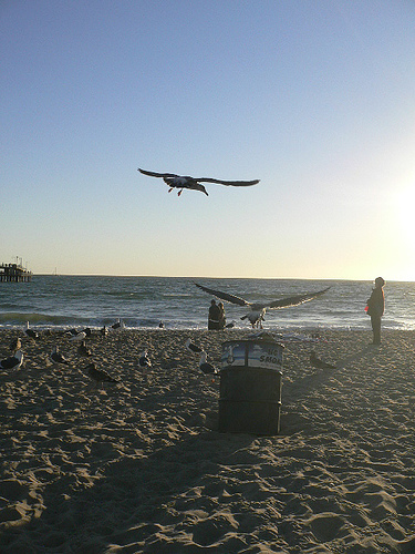 f0103612_22225131.jpg