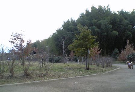 e0119017_20323095.jpg