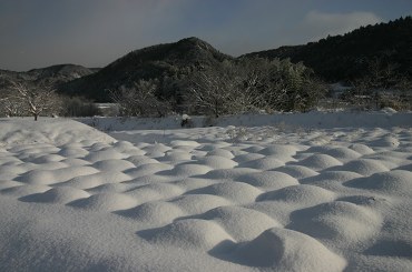 f0142717_1183540.jpg