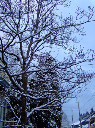 f0147025_1701573.jpg