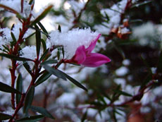 f0147025_1714375.jpg