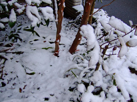 f0147025_17181850.jpg