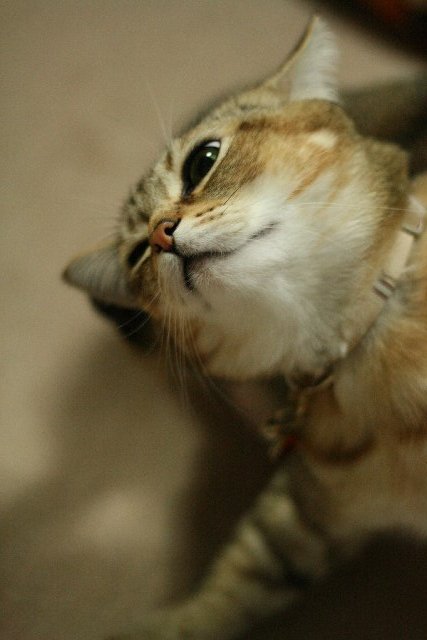 f0055228_20122419.jpg