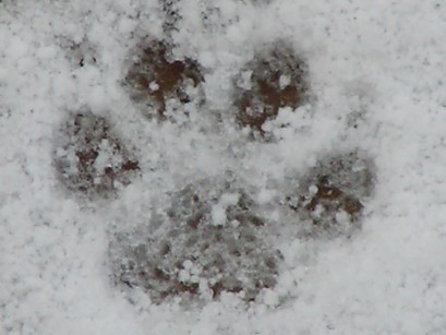 f0002833_23543887.jpg