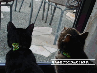 c0136736_13261917.gif