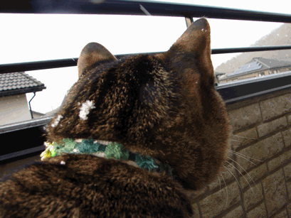 c0136736_13295221.gif