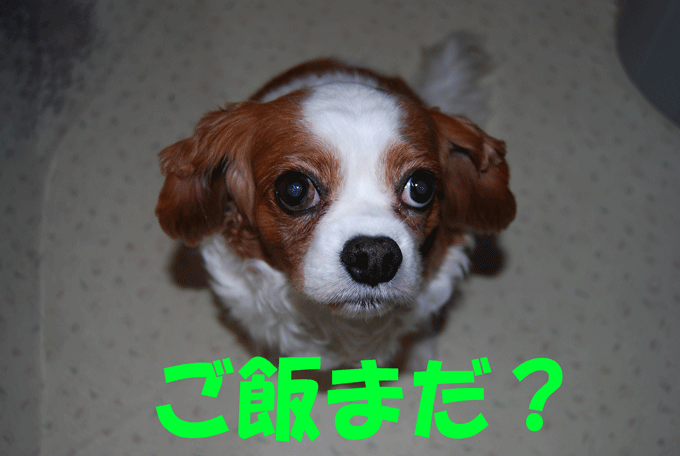 c0136838_23222366.gif